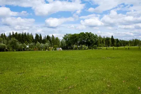 Участки под ИЖС и ЛПХ в чем разница
