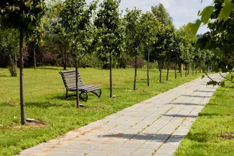 Природа в КП Берег Песочной
